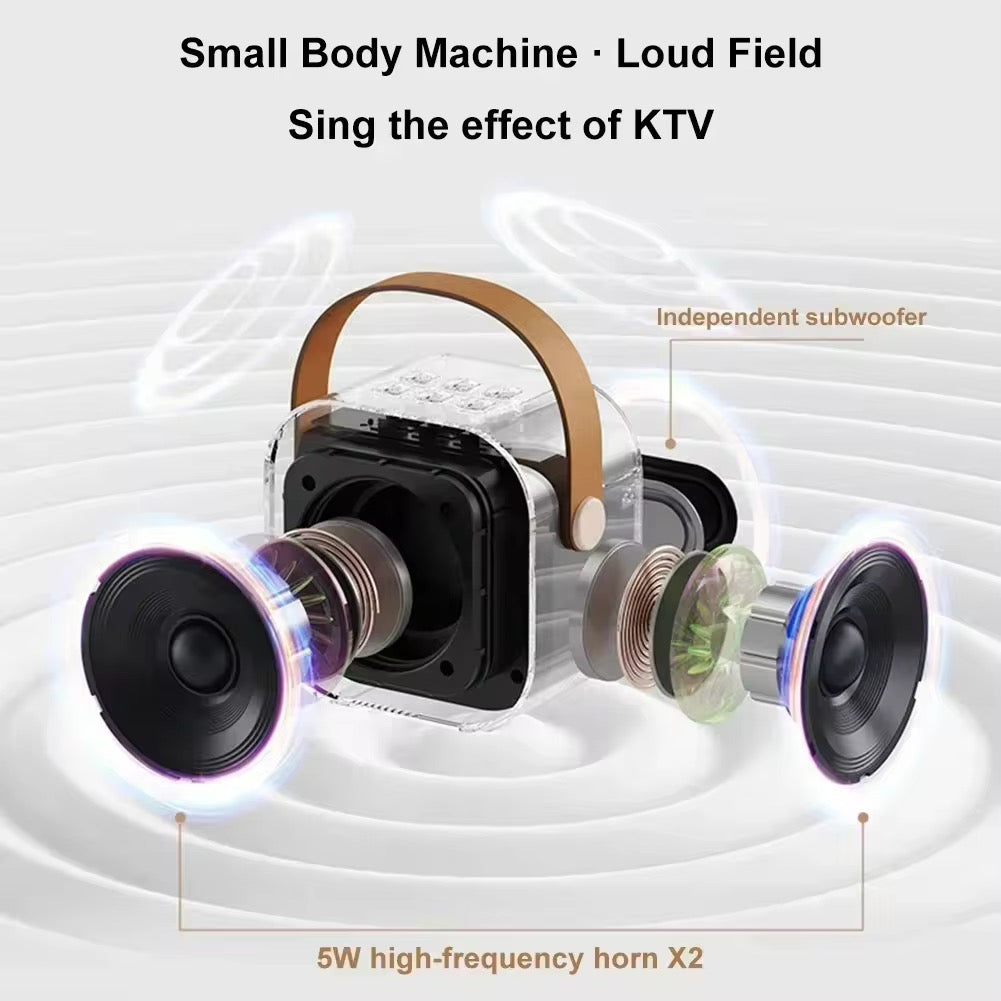 Portable Bluetooth Karaoke Microphone with Speaker – Wireless Handheld Machine - NARA SPACE