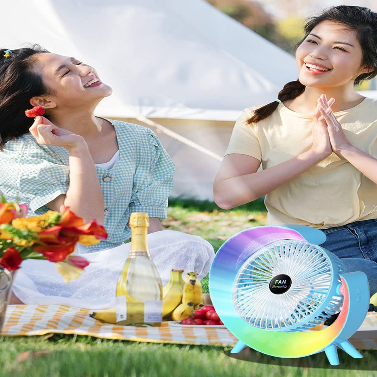 Premium Quality Portable Desktop Table Fan with Lamp - NARA SPACE
